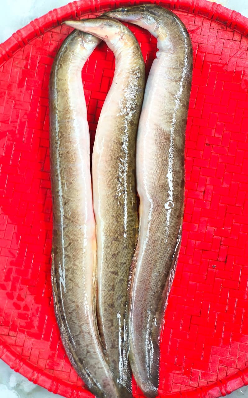 River Big Baim(Ready-to-Cook) - Image 2