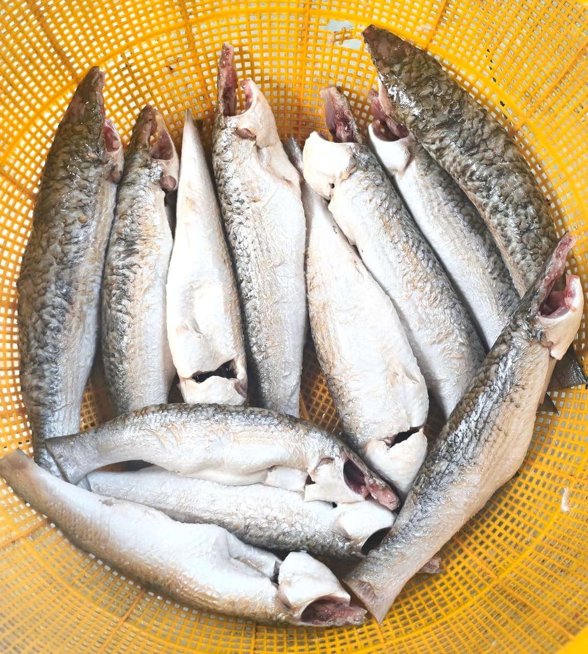 River Kholla(Ready-to-Cook)