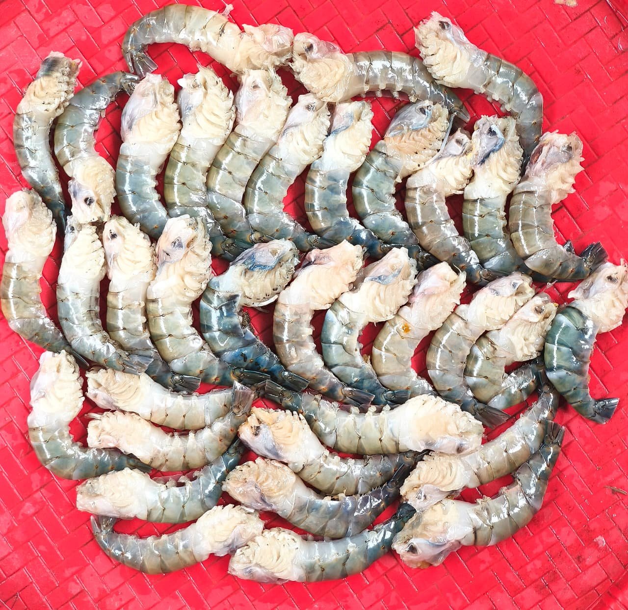 Goldha Shrimp 25-30pcs(Ready-to-Cook)