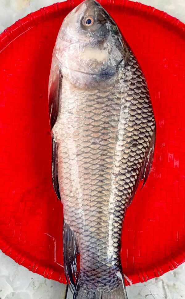 Deshi Katla Fish (2kg).