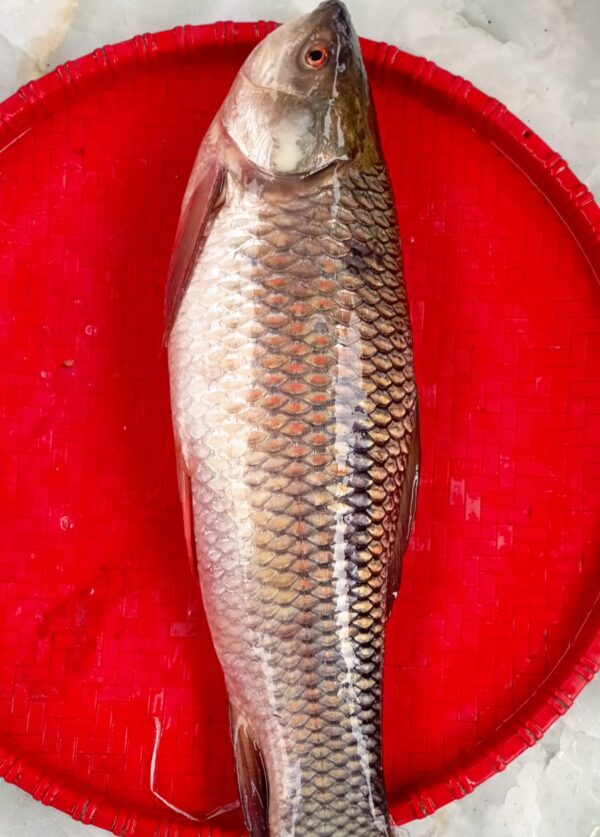Deshi Rui Fish 1.5kg(Ready-to-Cook)