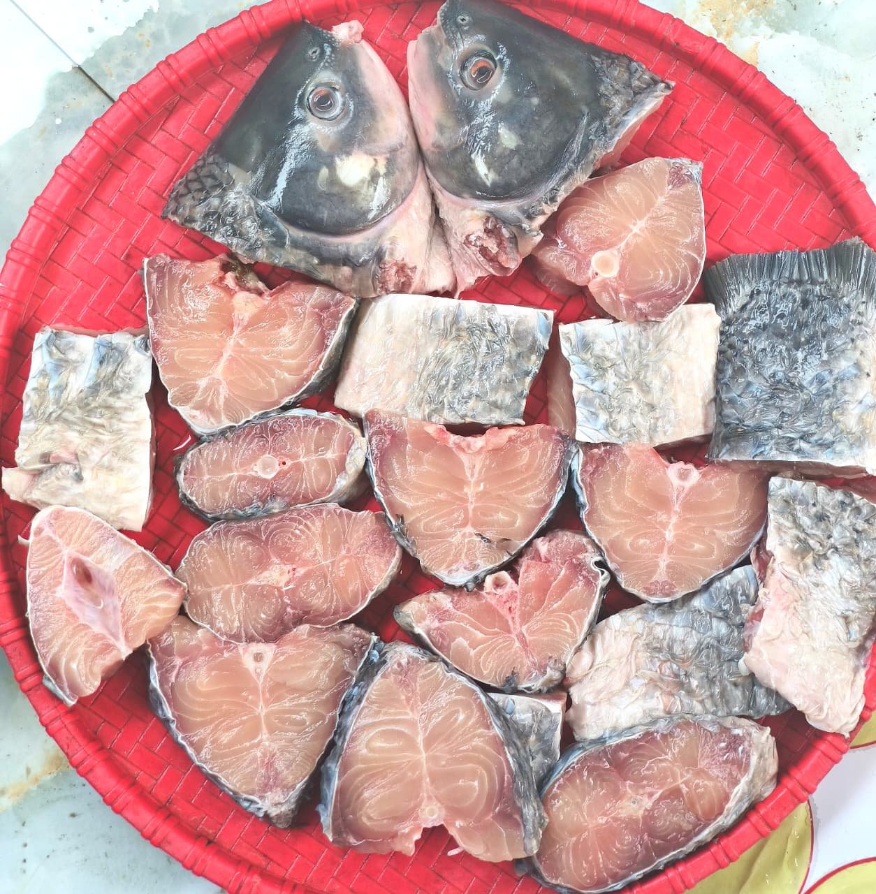 River Kalbuash (1.5kg).