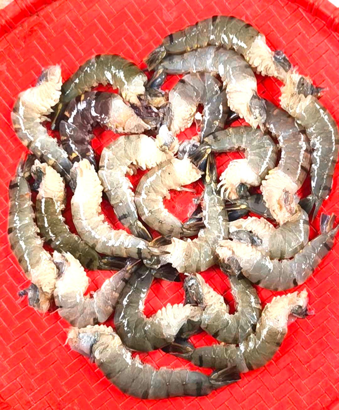 Bagda Chingri Premium Size (Ready-to-Cook)