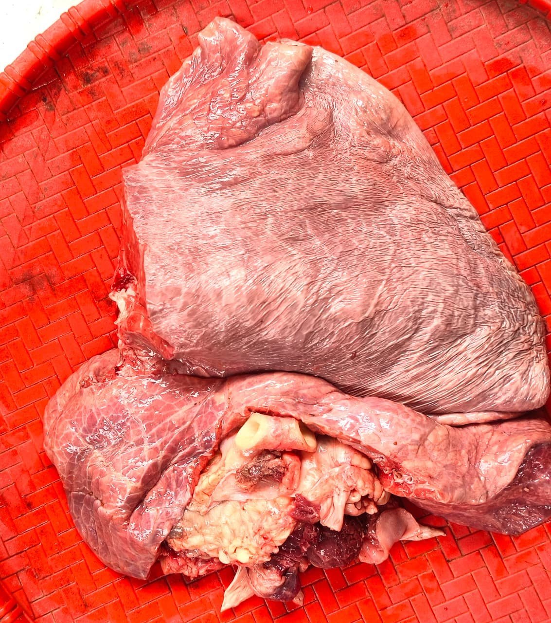 Beeflungs500.jpg Beef Lungs - Image 1