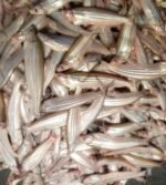 River Kajoli Fish(Ready-to-Cook) - Image 3