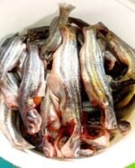 Deshi Tengra Regular Size(Ready-to-Cook) - Image 2