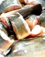 Farmed Magur Fish(Ready-to-Cook) - Image 3