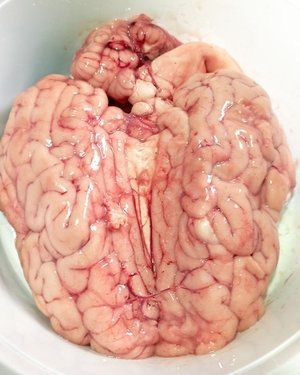 I-7.jpg Beef Brain - Image 1