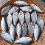 Deshi Puti Premium(Ready-to-Cook)