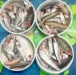 Biler Mixed Fish(Ready-to-Cook) - Image 9
