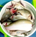 Biler Mixed Fish(Ready-to-Cook) - Image 10