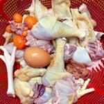 Layer Chicken