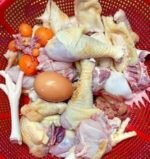 Layer Chicken