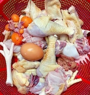 P-14-e1745489034683.jpg Layer Chicken - Image 1
