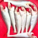 River Powa (Ready-to-Cook)