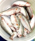 Deshi Puti Medium(Ready-to-Cook) - Image 4