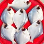 Pomfret 6-7pcs(Ready-to-Cook)