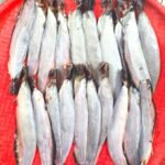 Deshi Shing Fish(Ready-to-Cook)