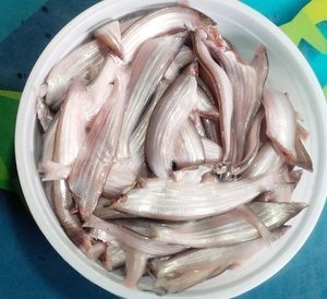 Webp.net-resizeimage-11.jpg River Kajoli Fish(Ready-to-Cook) - Image 1