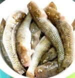 River Bele Fish 7-10pcs(Ready-to-Cook) - Image 2