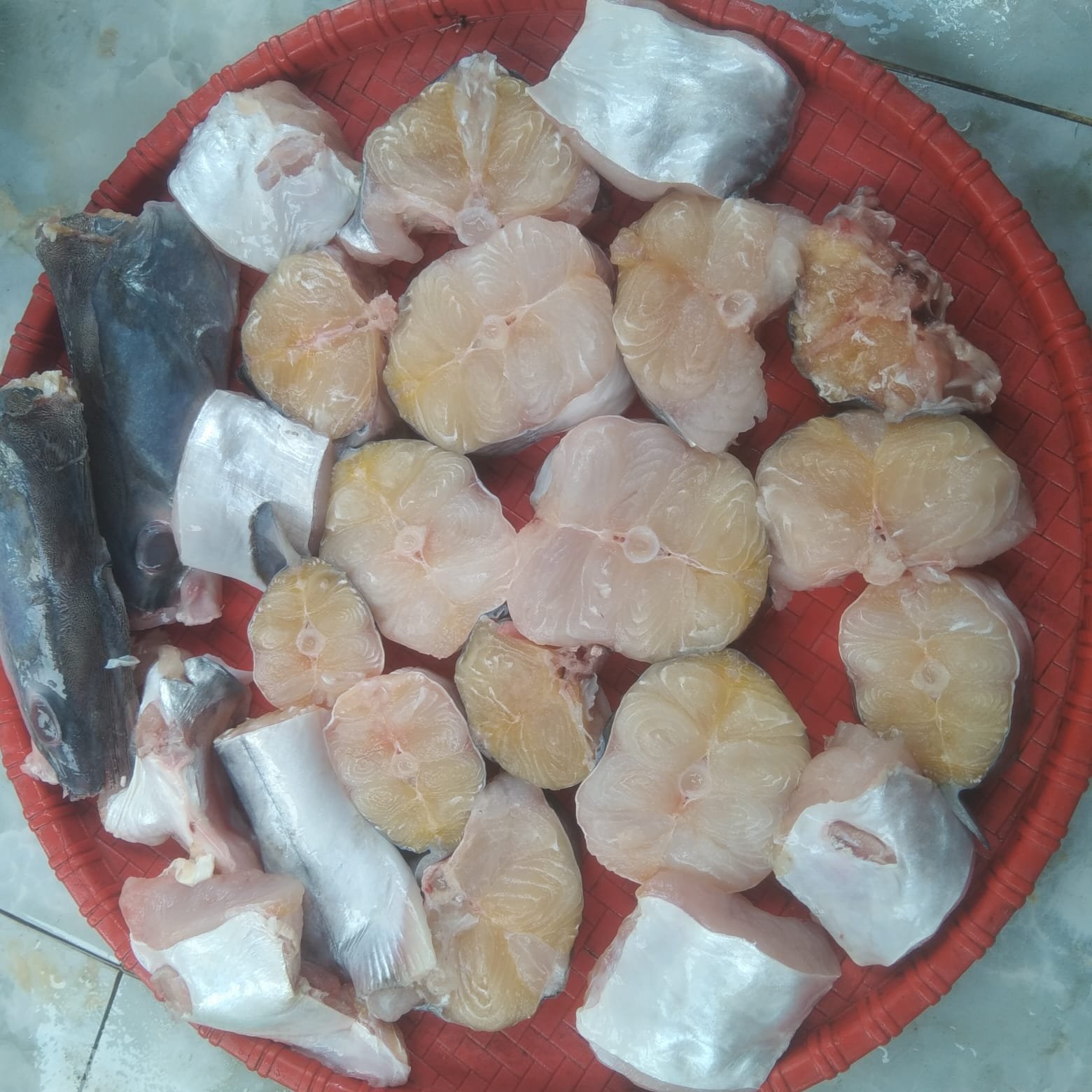 WhatsApp-Image-2026-07-29-at-1.00.48-PM-1.jpeg River Ayer Fish(1pcs 2kg). - Image 1